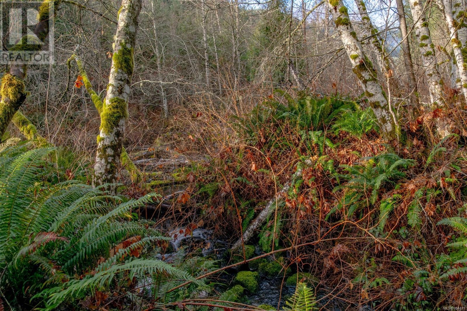12274 Ivey Rd, Ladysmith