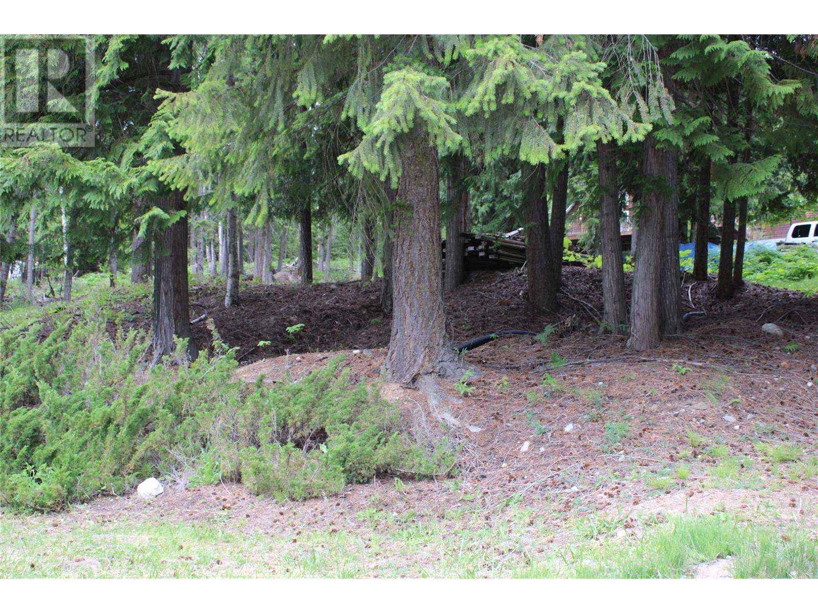 Photo 6 of Estate Drive Lot 146, Anglemont BC
