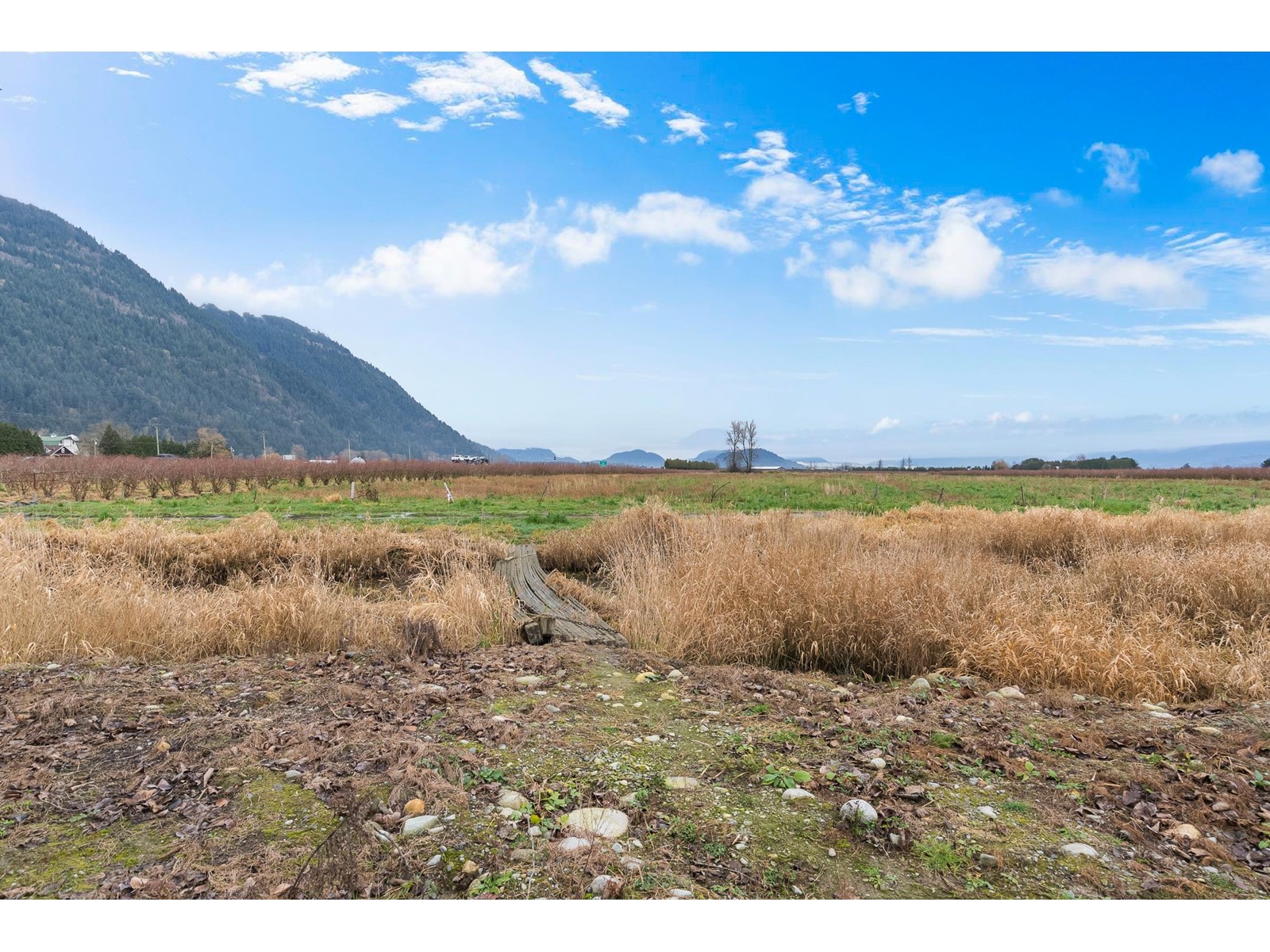 39330-39452 SOUTH PARALLEL ROAD, Abbotsford real estate listing R2956815