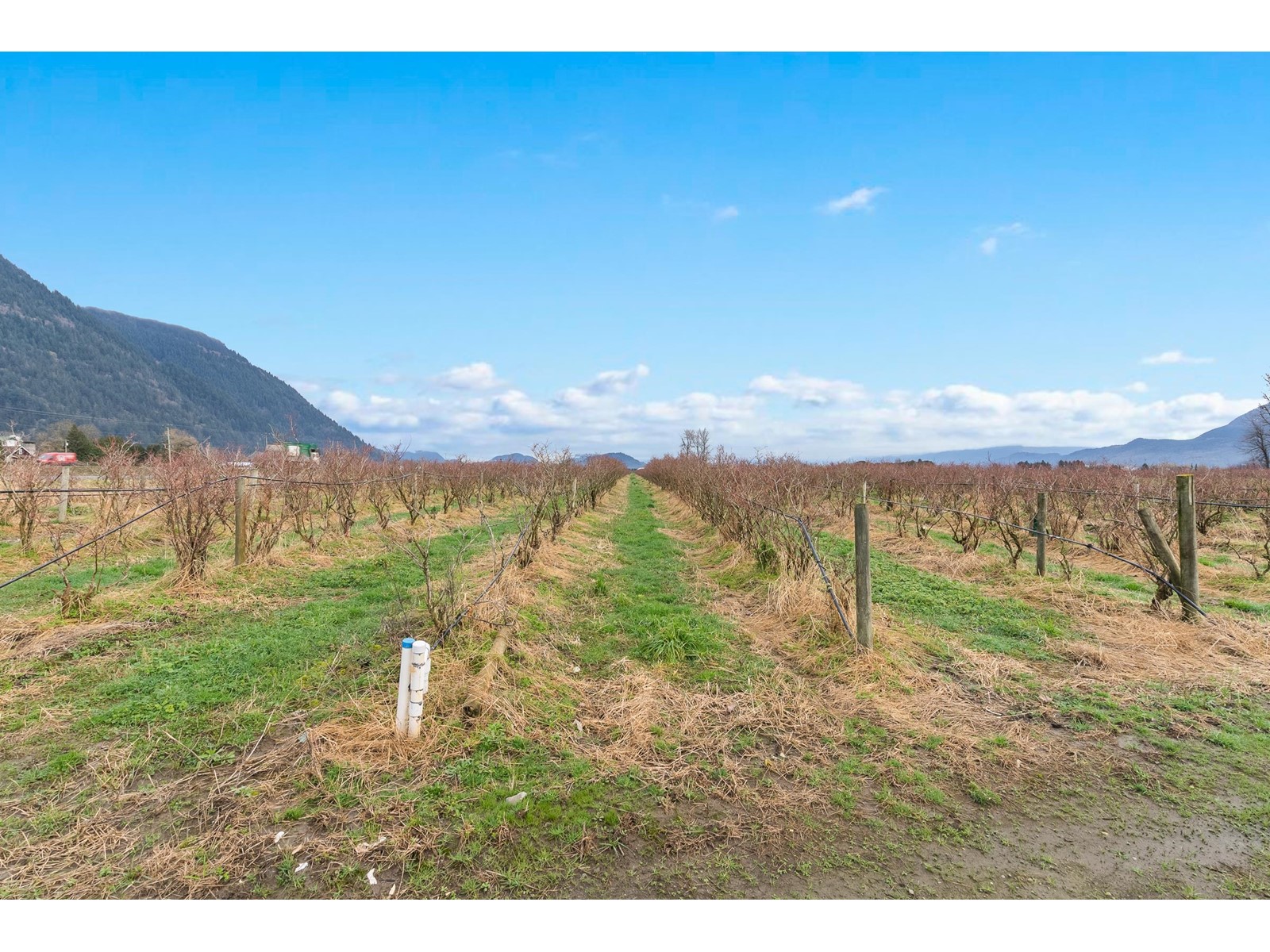 39330-39452 SOUTH PARALLEL ROAD, Abbotsford real estate listing R2956815