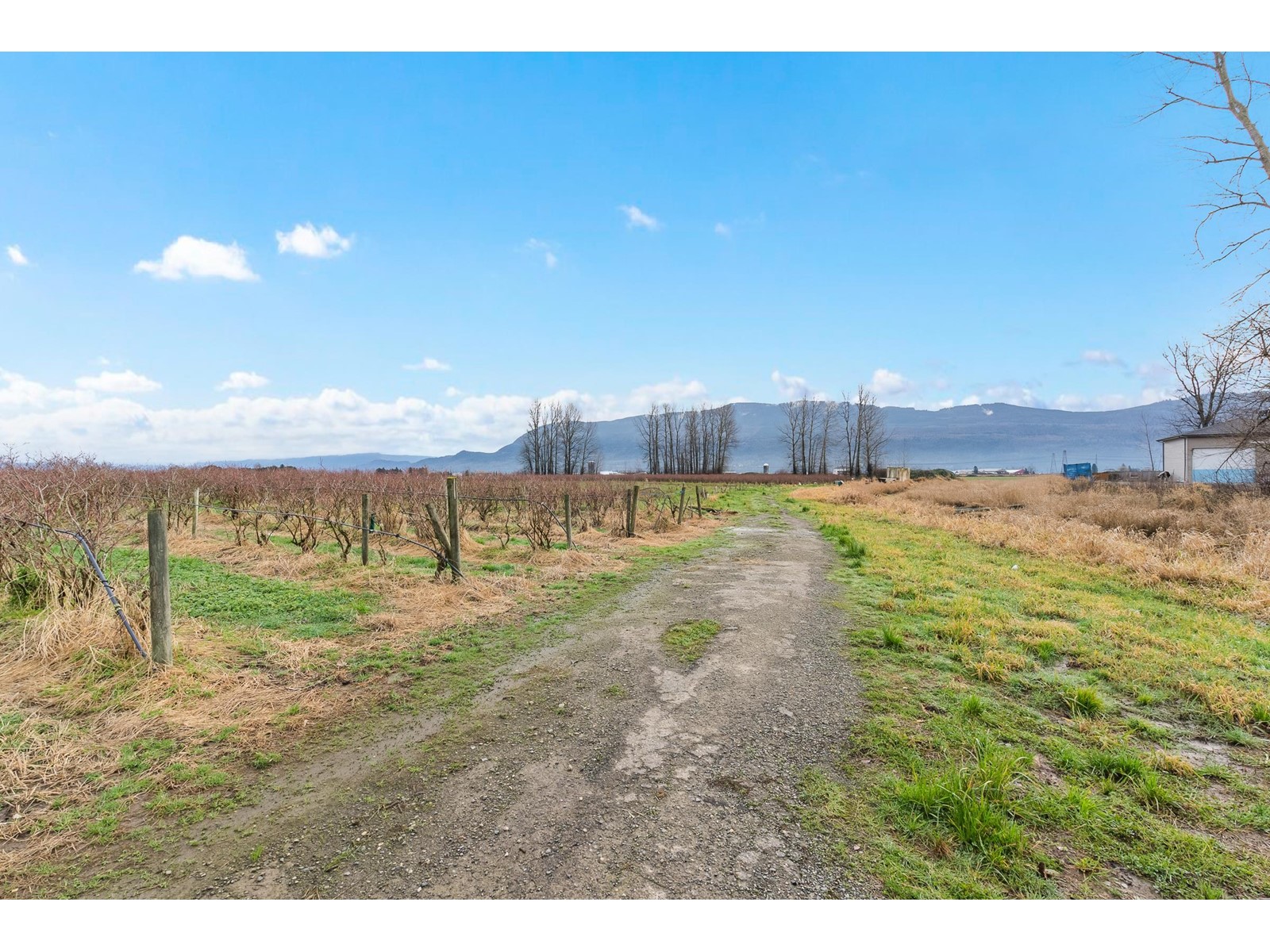 39330-39452 SOUTH PARALLEL ROAD, Abbotsford real estate listing R2956815