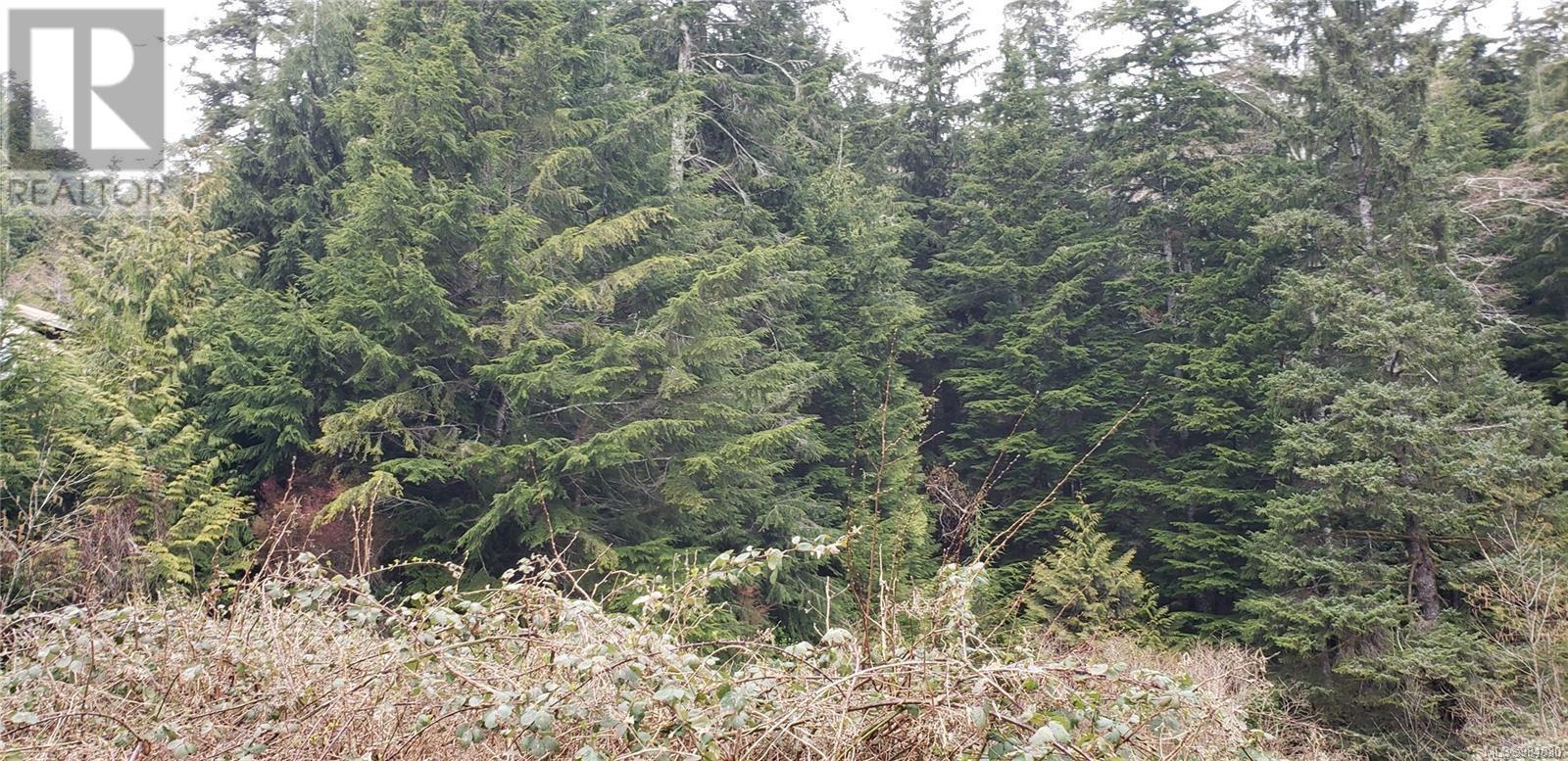 Lot 16 Haggard Cove, Port Alberni real estate listing 984830