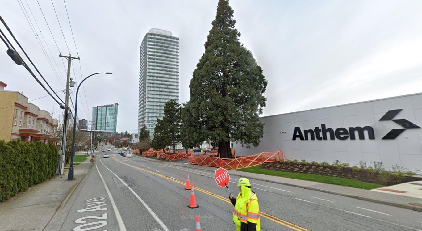 205 13710 102 AVENUE, Surrey