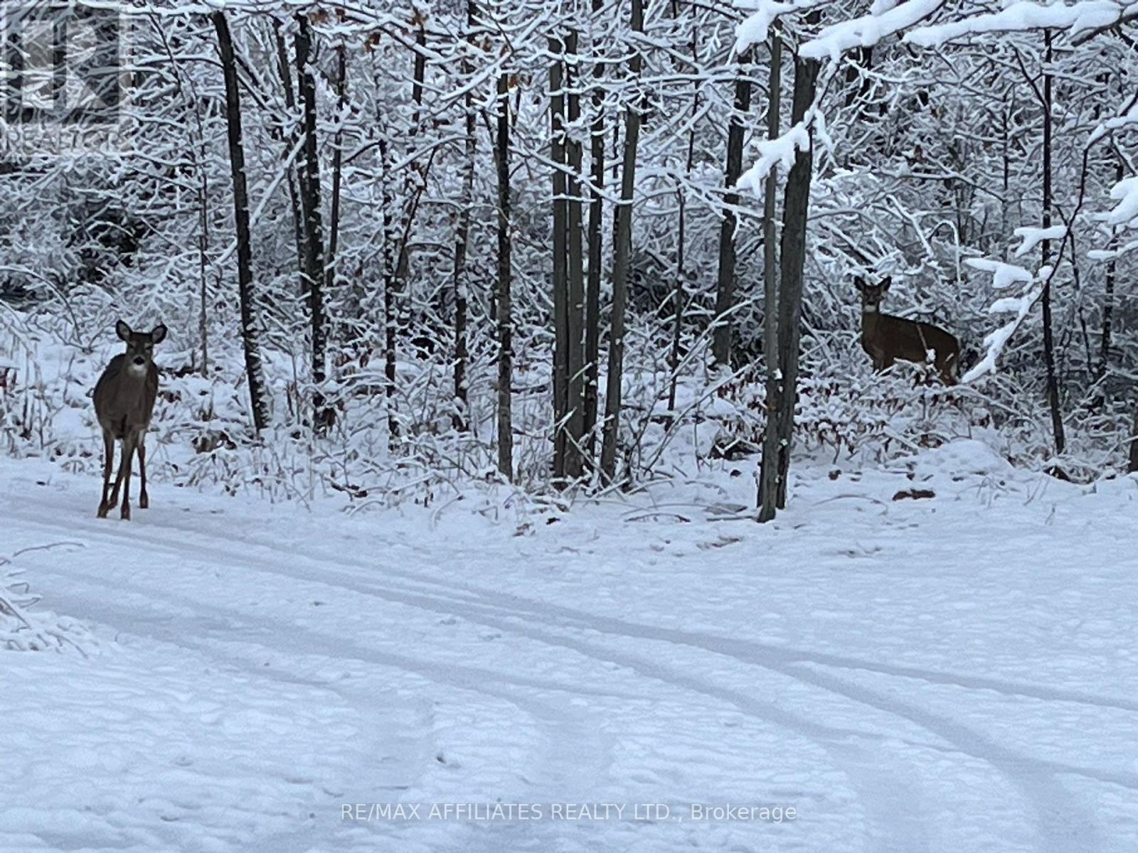 Photo 4 of 19 West Devil Lk Lane E, Frontenac ON