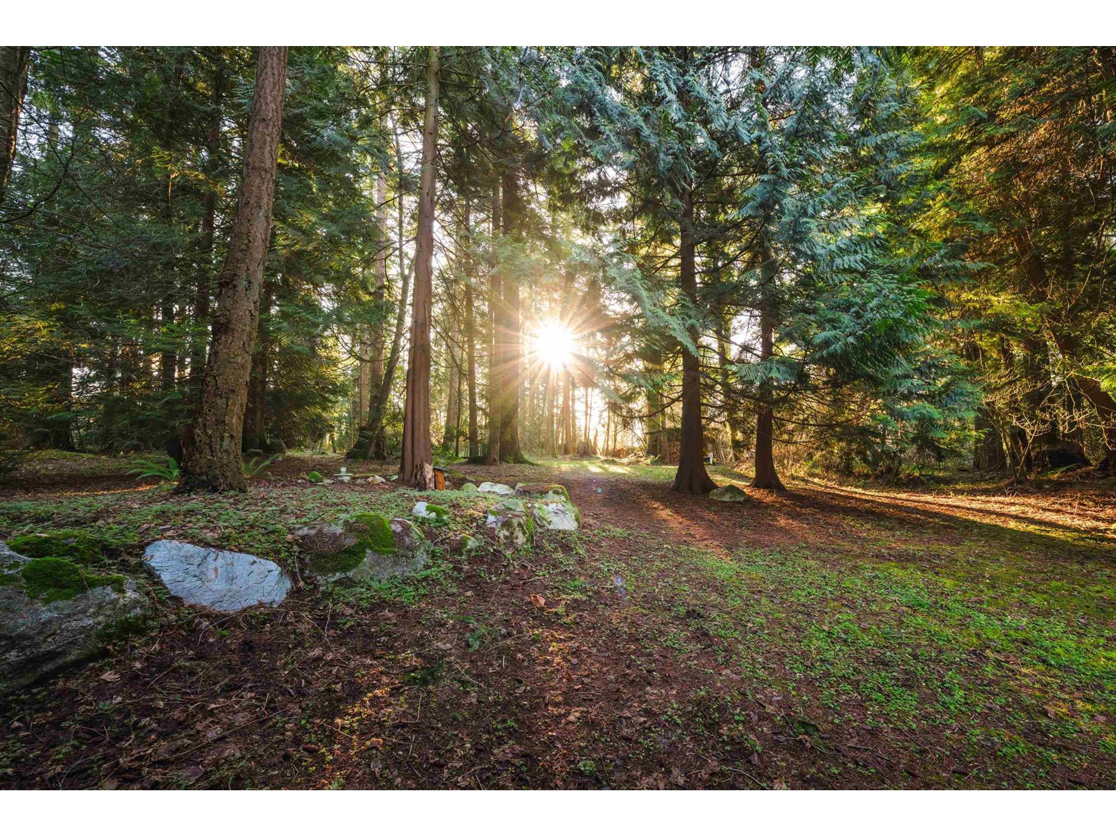 13912 28 AVENUE, Surrey