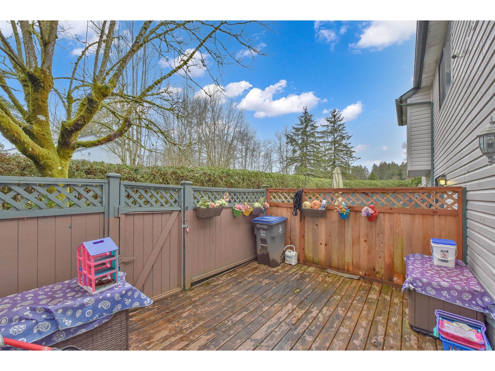 Photo 26 of 129 13710 67 Avenue, Surrey BC