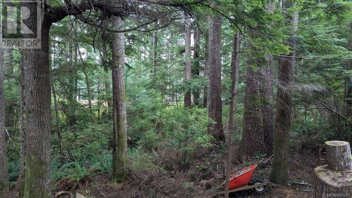 Photo 10 of 542 E Larch St, Alert Bay BC
