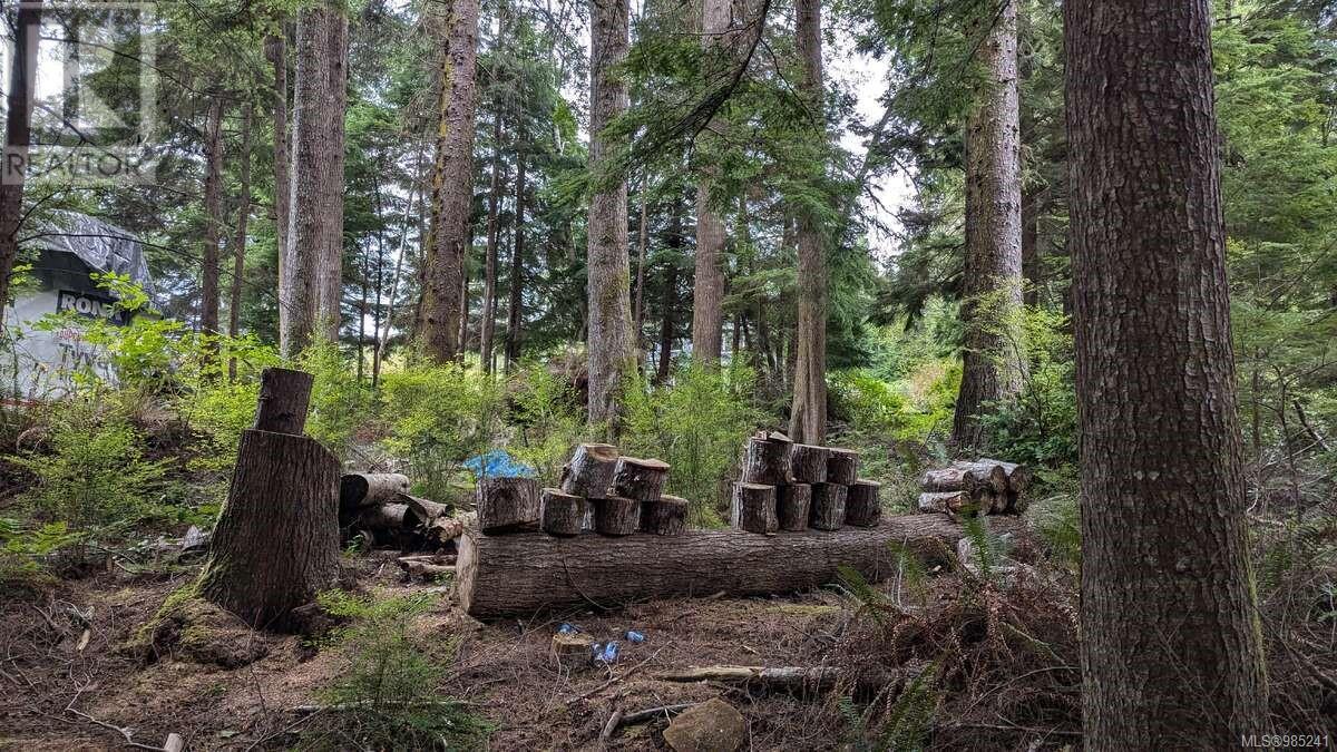 Photo 11 of 542 E Larch St, Alert Bay BC