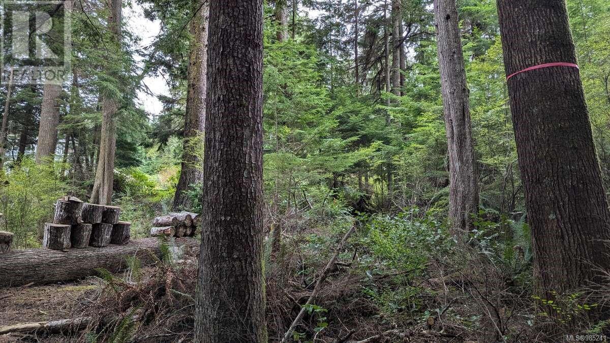 Photo 12 of 542 E Larch St, Alert Bay BC