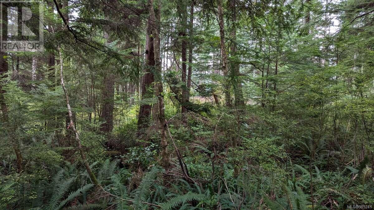 Photo 13 of 542 E Larch St, Alert Bay BC