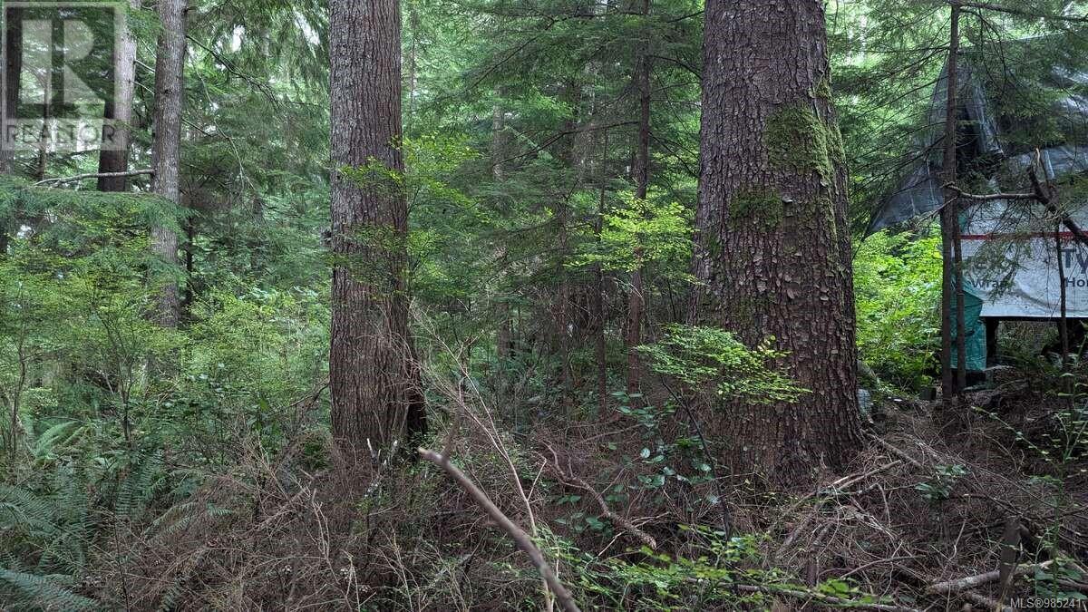 Photo 14 of 542 E Larch St, Alert Bay BC