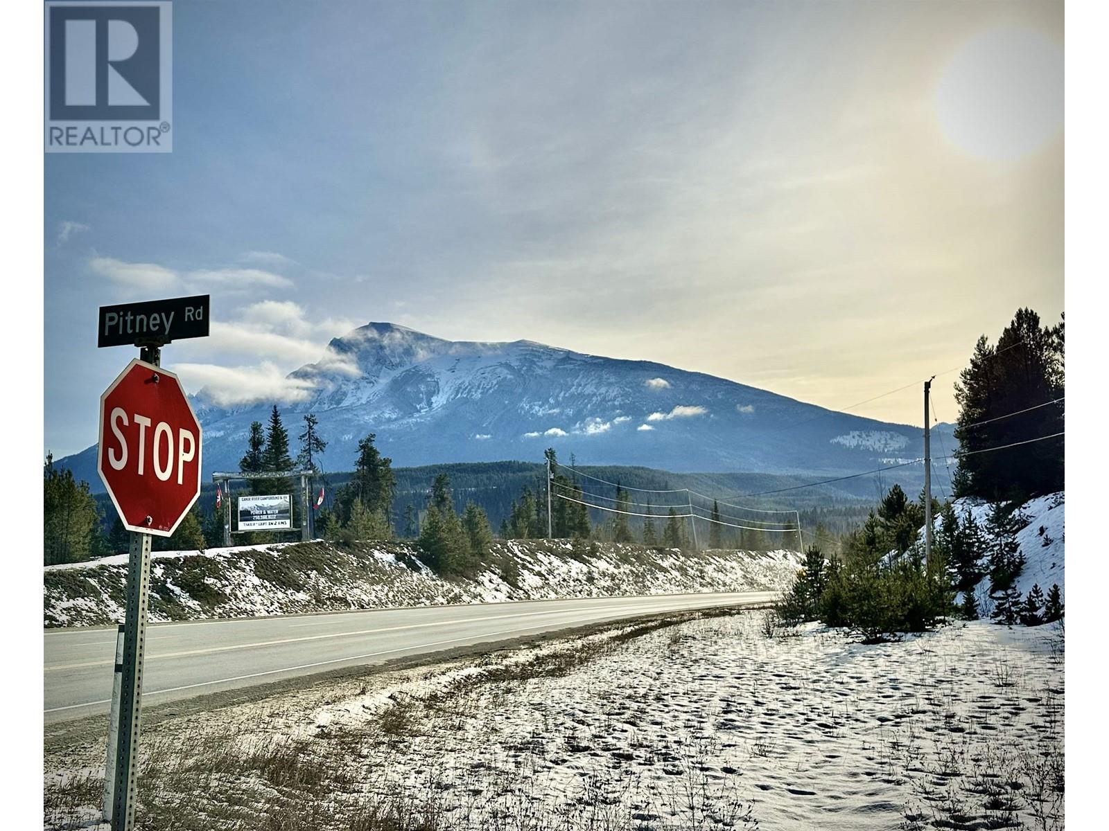 4995 PITNEY ROAD, Valemount