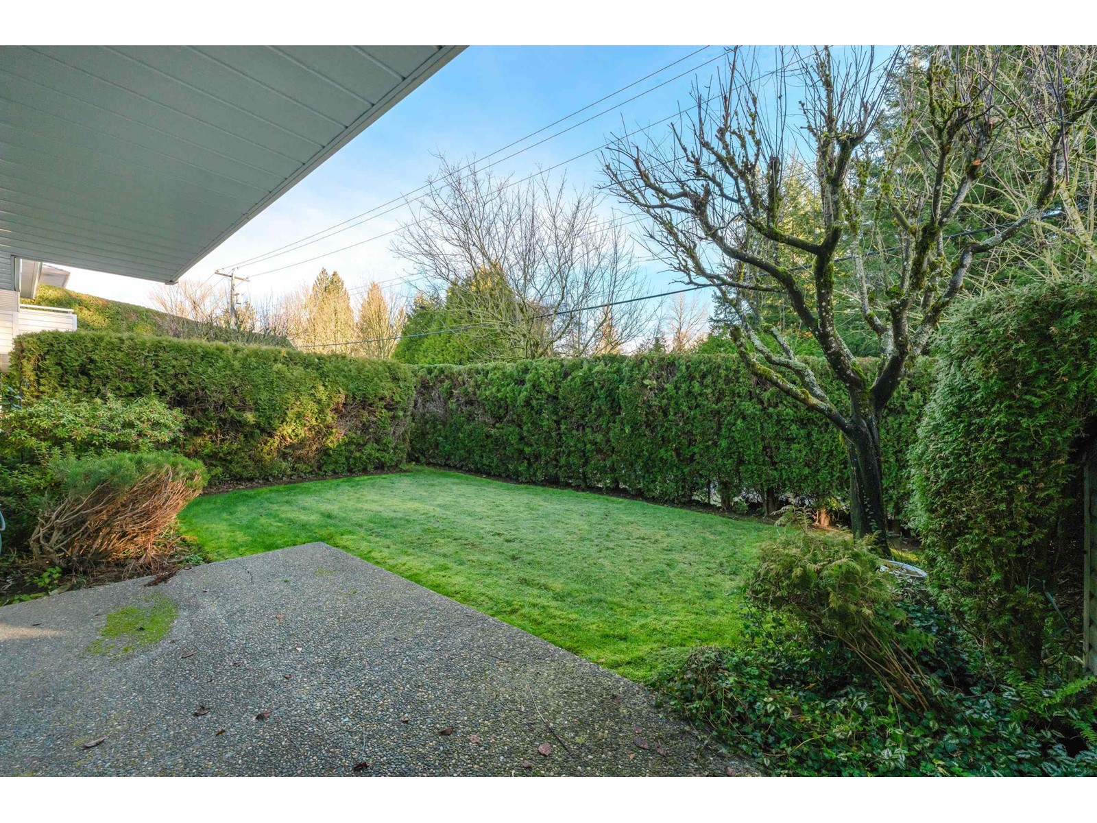 69 3054 TRAFALGAR STREET, Abbotsford real estate listing R2958417