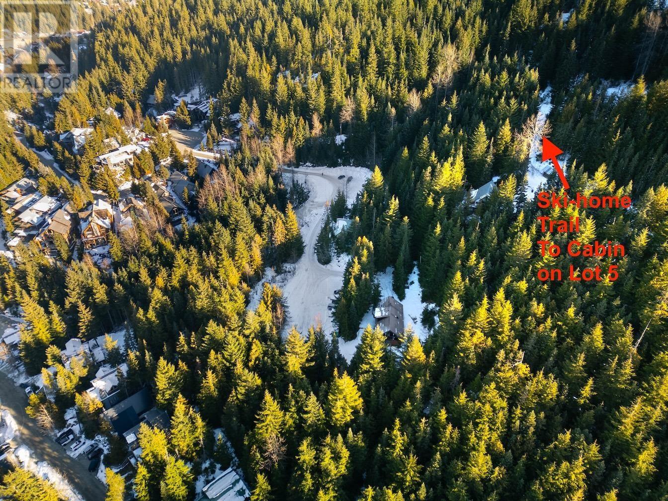 Vacant Land in Whistler - Image 5