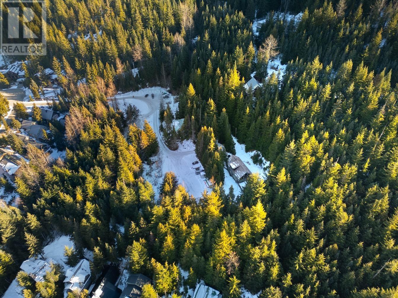 Vacant Land in Whistler - Image 4