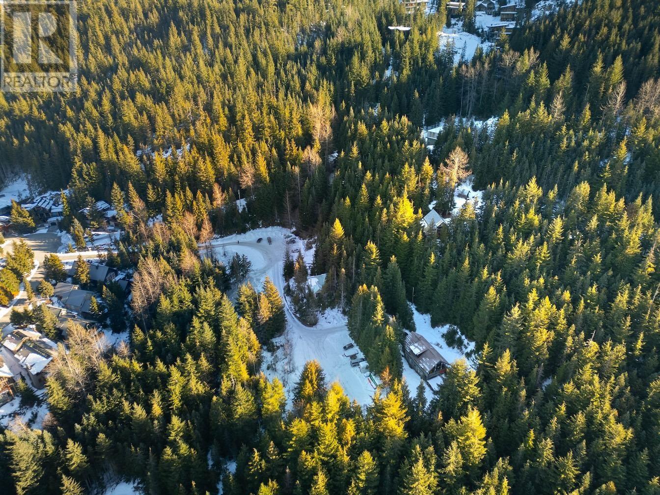 Vacant Land in Whistler - Image 8