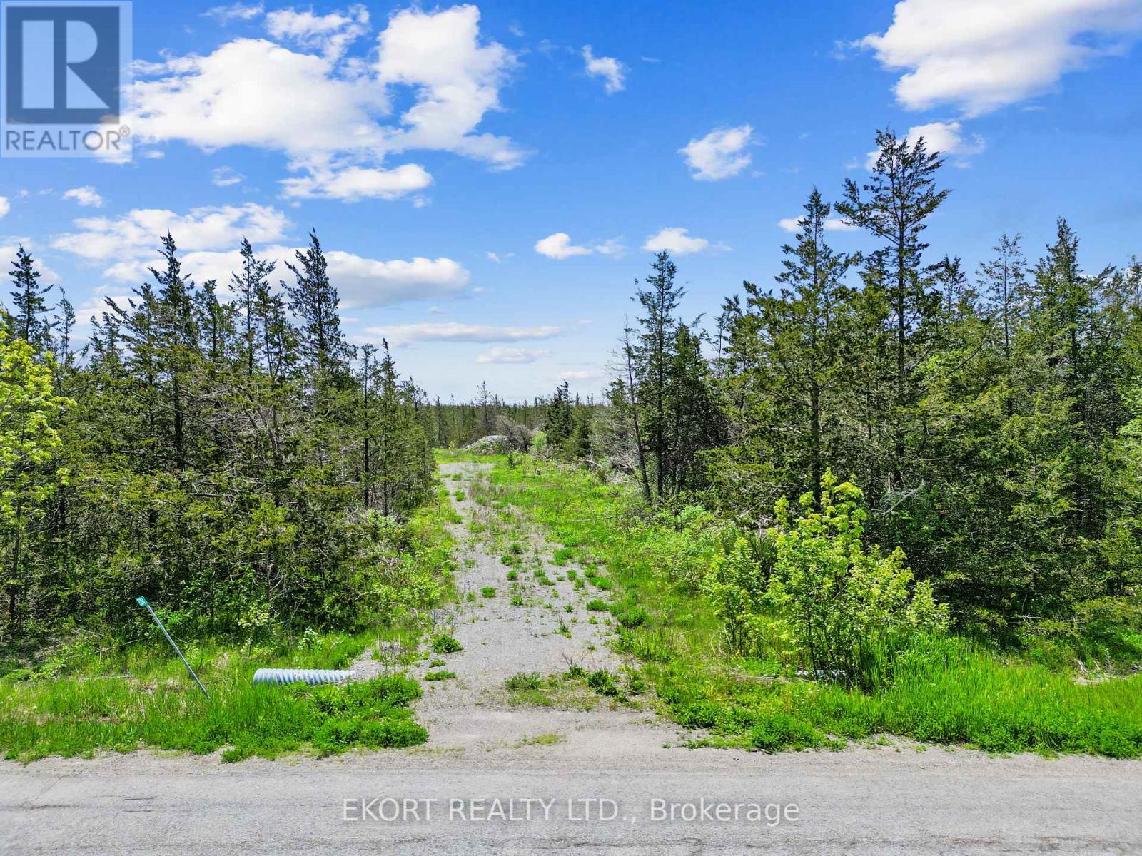 Photo 15 of 3394 County Road 13, Prince Edward County ON