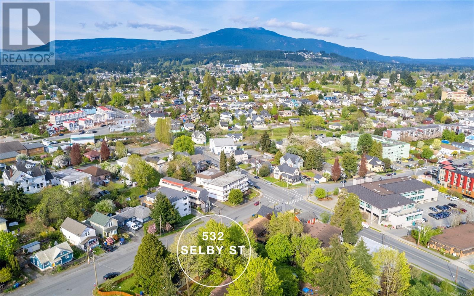 532 Selby St, Nanaimo real estate listing 985656