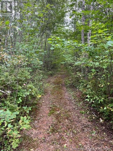 Photo 2 of Lot Route 10 Highway, New Zion NB