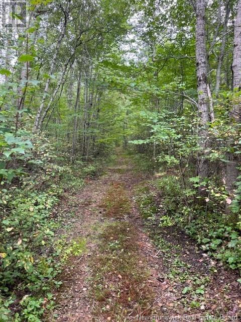Photo 3 of Lot Route 10 Highway, New Zion NB