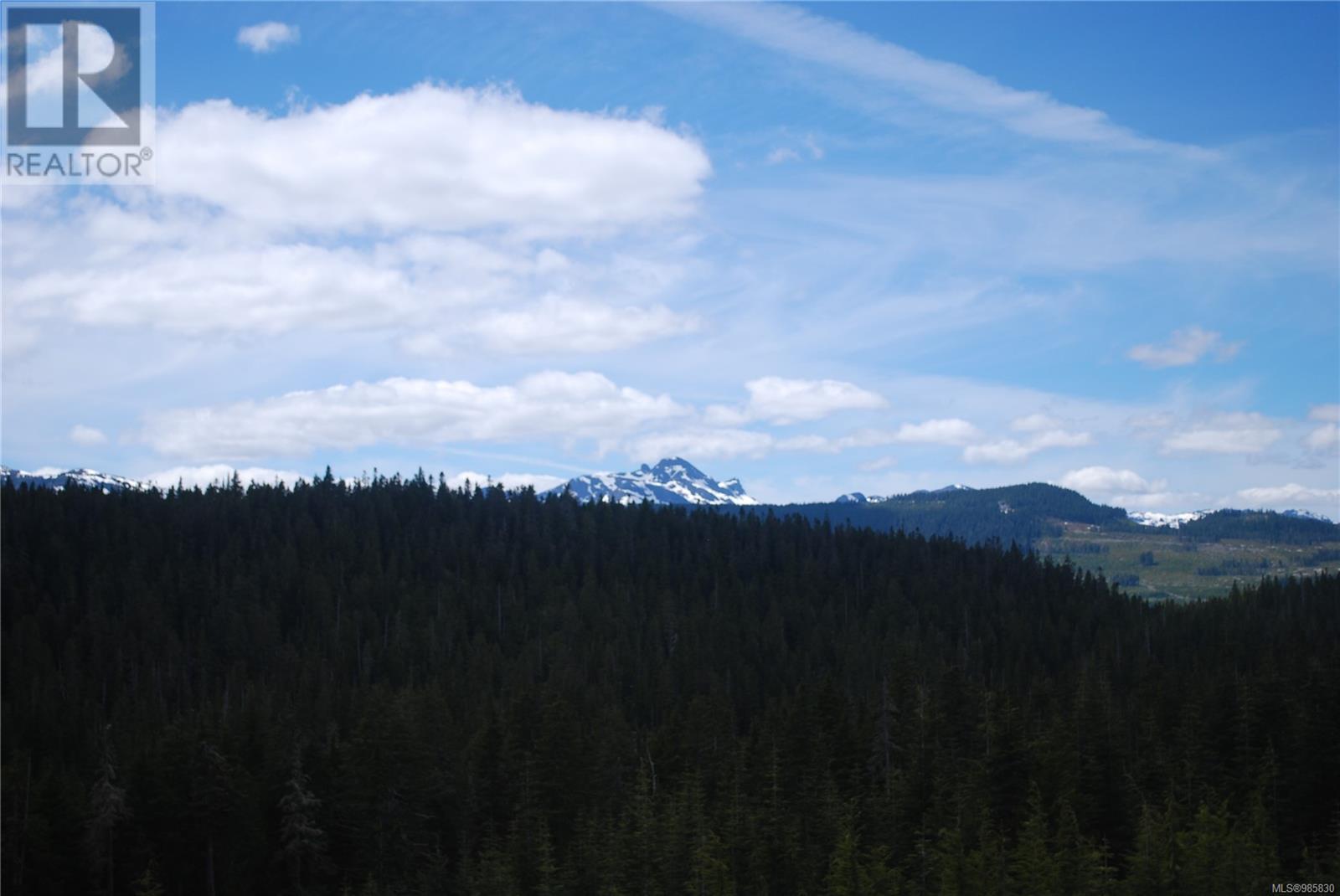 720 Arrowsmith Ridge, Courtenay real estate listing 985830