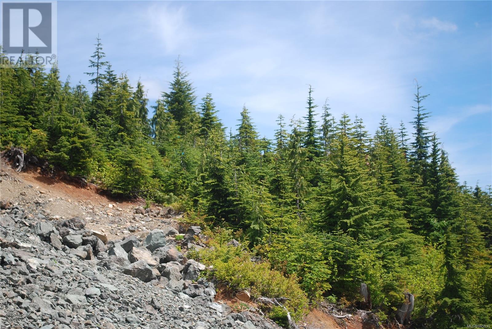 720 Arrowsmith Ridge, Courtenay real estate listing 985830