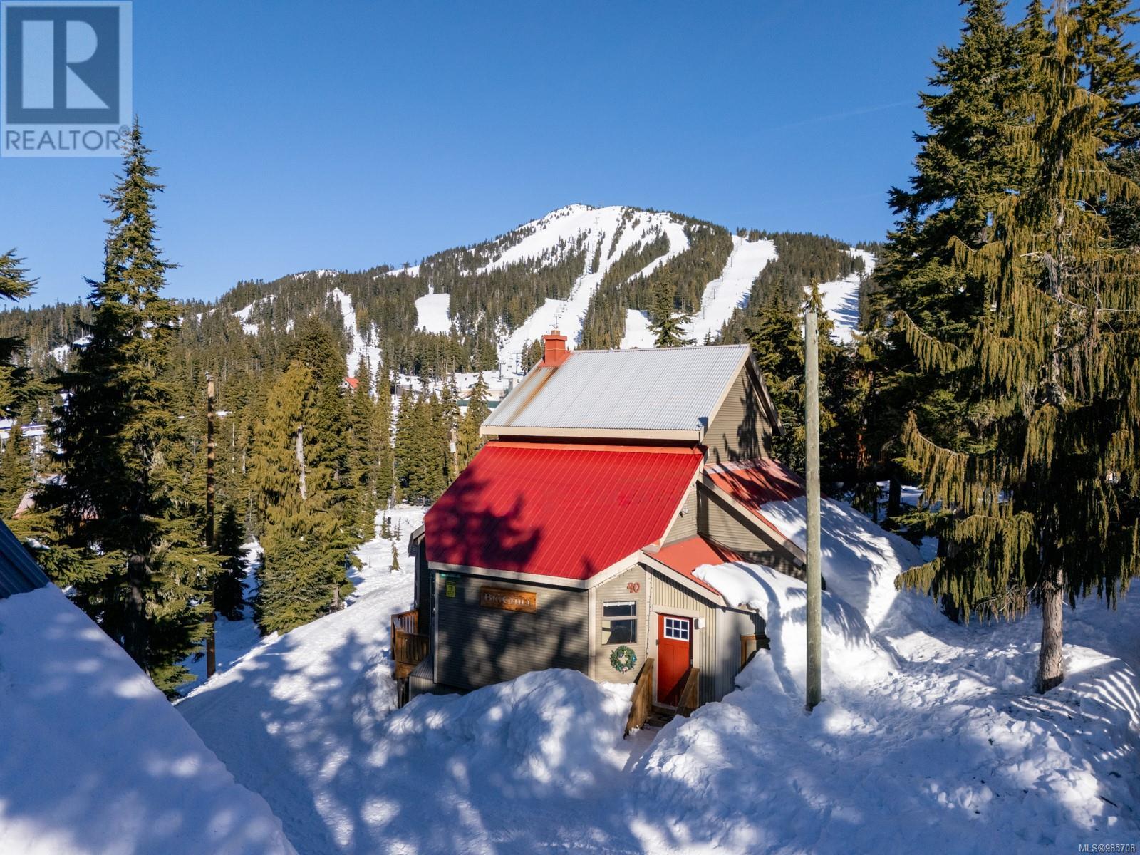 1044 Meadow Lane, Courtenay real estate listing 985708