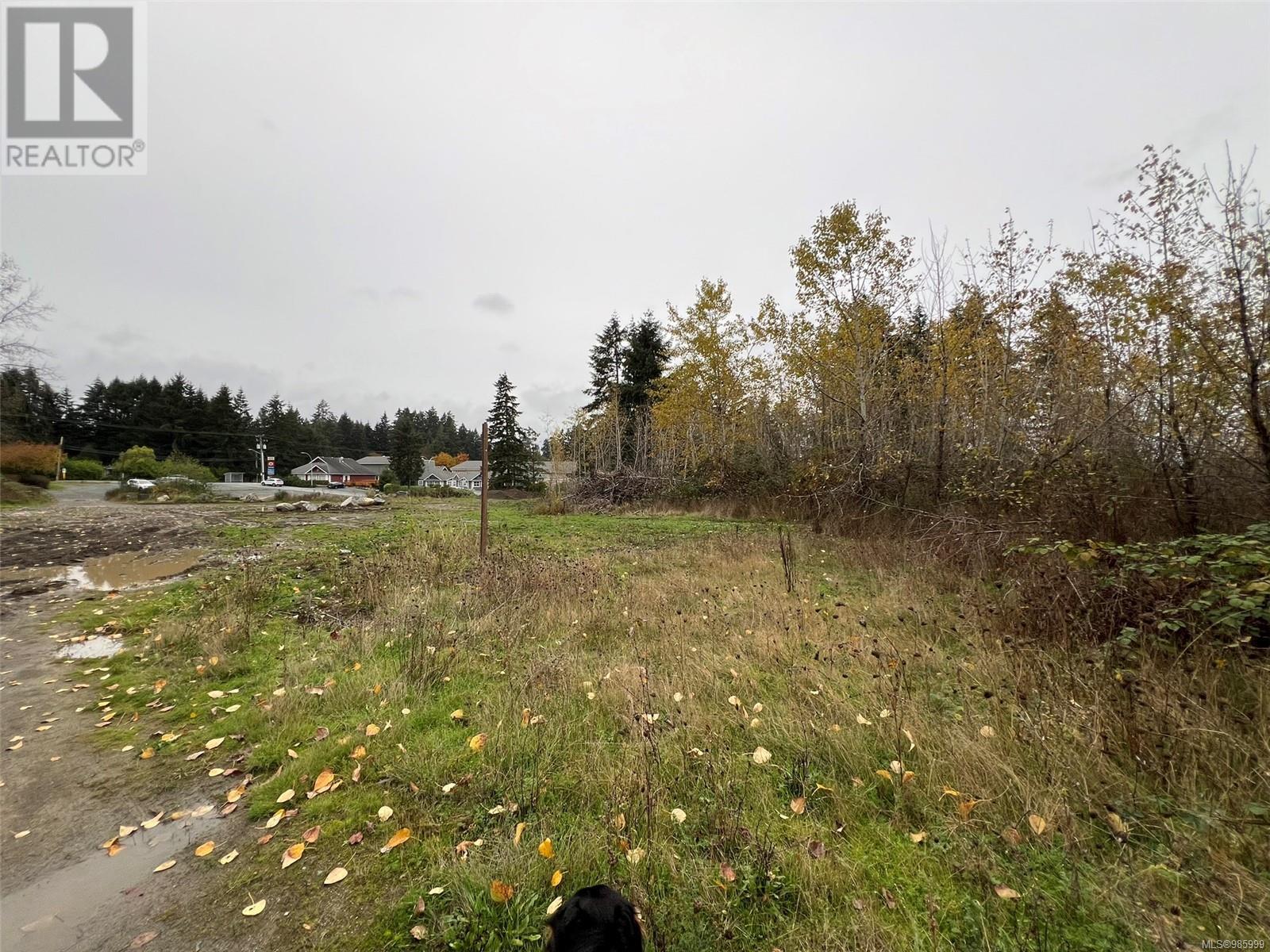 1825 Nairne Rd, Nanaimo real estate listing 985999