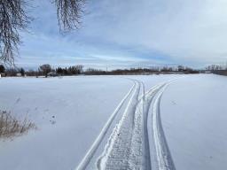 5137 Henderson Highway, St Clements, MB R1C0B7 Photo 14