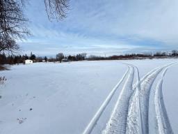 5137 Henderson Highway, St Clements, MB R1C0B7 Photo 7