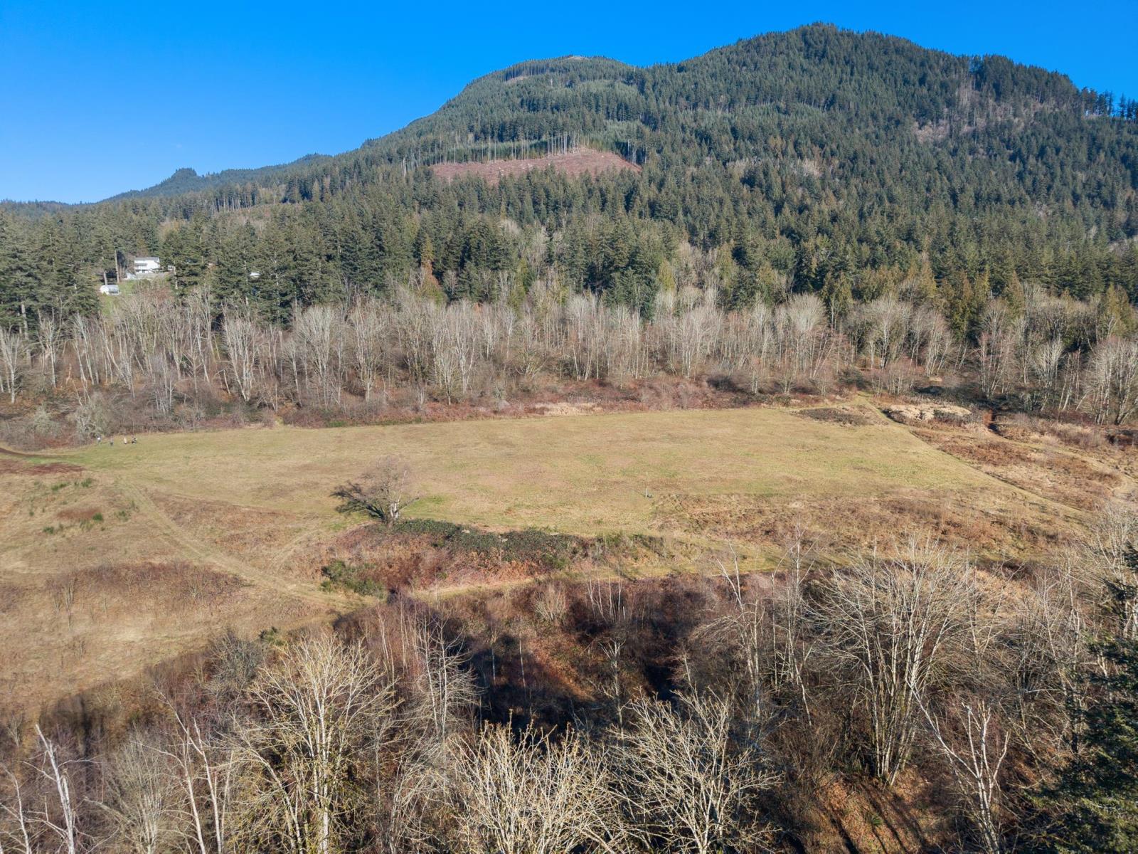 Photo 23 of Pt S 1 2 Sec 19 Lougheed Highway Mt Woodside, Harrison Mills BC