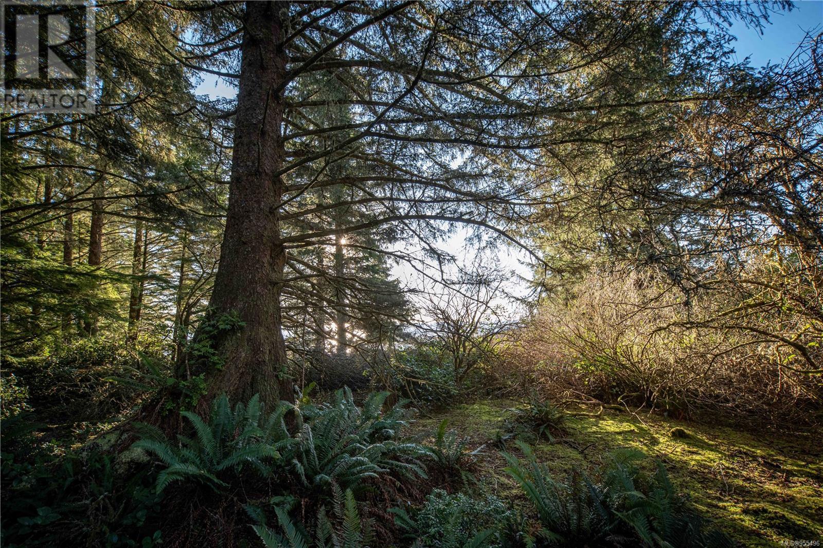 Vacant Land in Ucluelet - Image 41