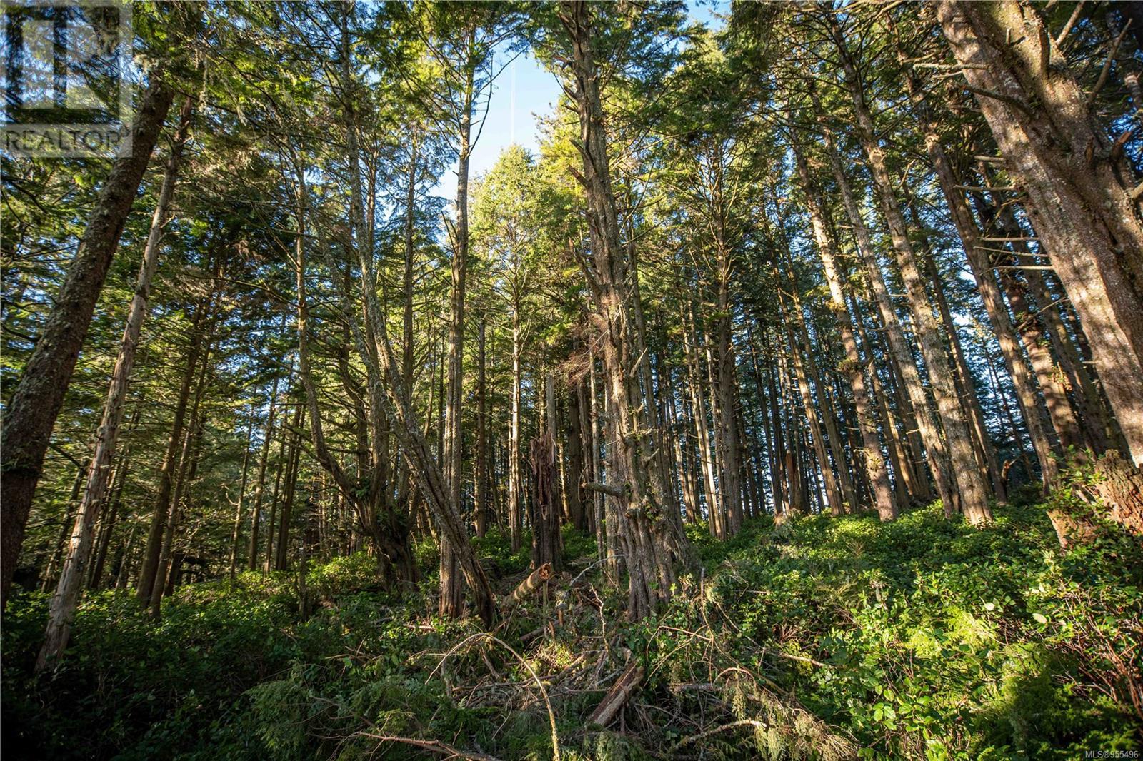 0 Francis Island, Ucluelet