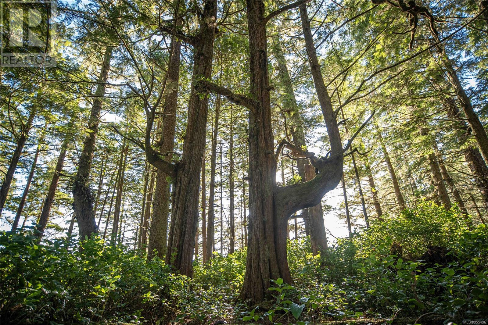 0 Francis Island - Photo 4 of 42, Ucluelet, British Columbia