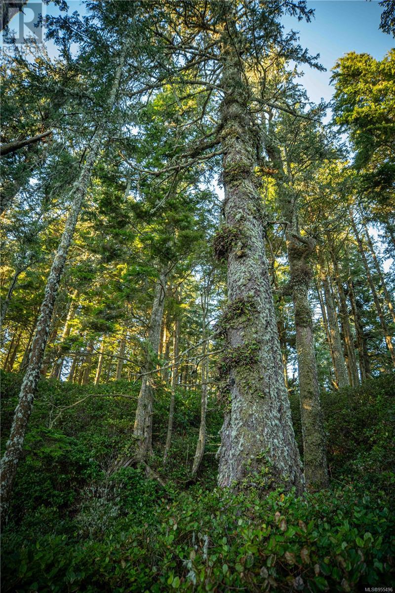 0 Francis Island, Ucluelet