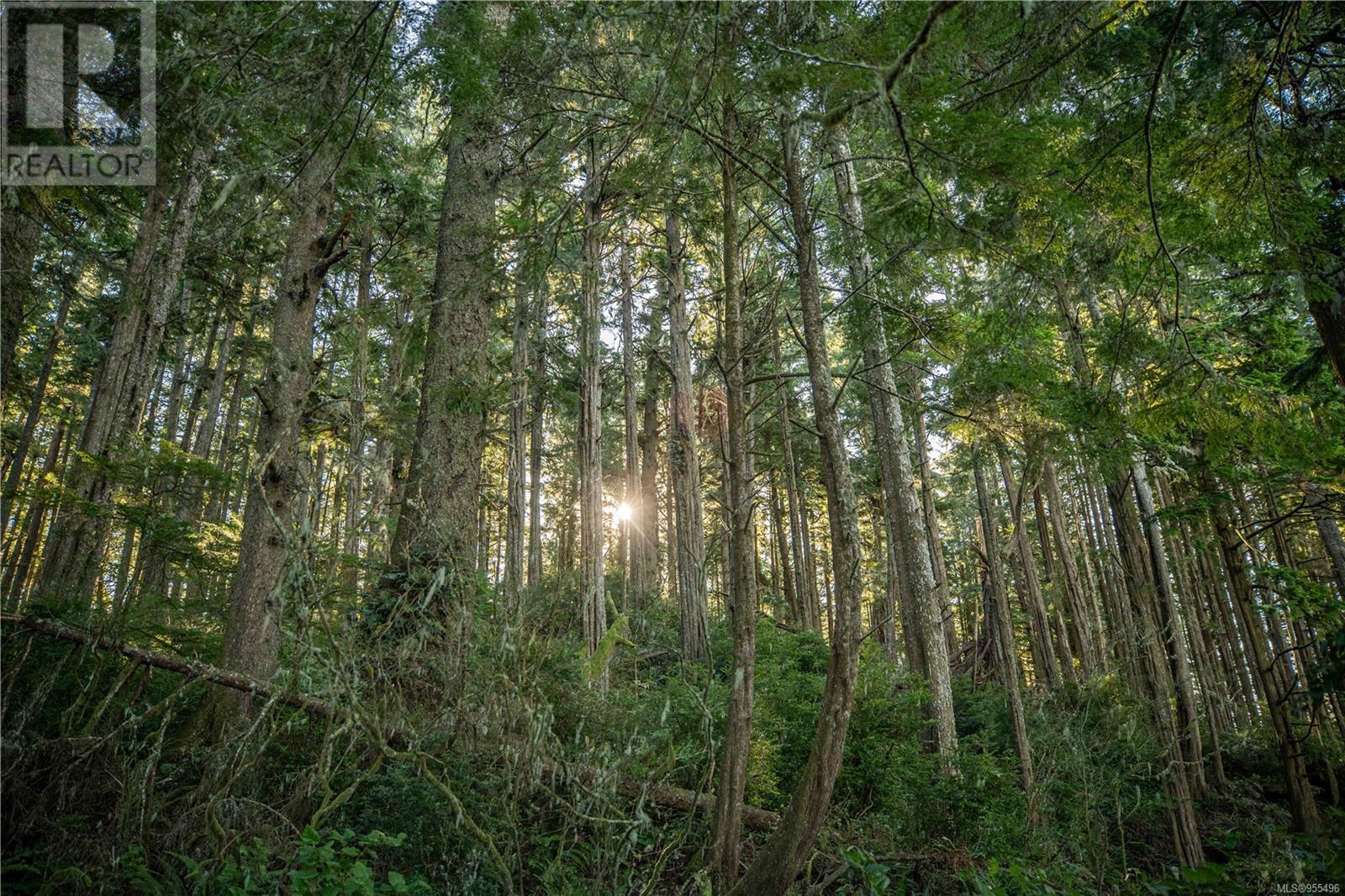 Vacant Land in Ucluelet - Image 28