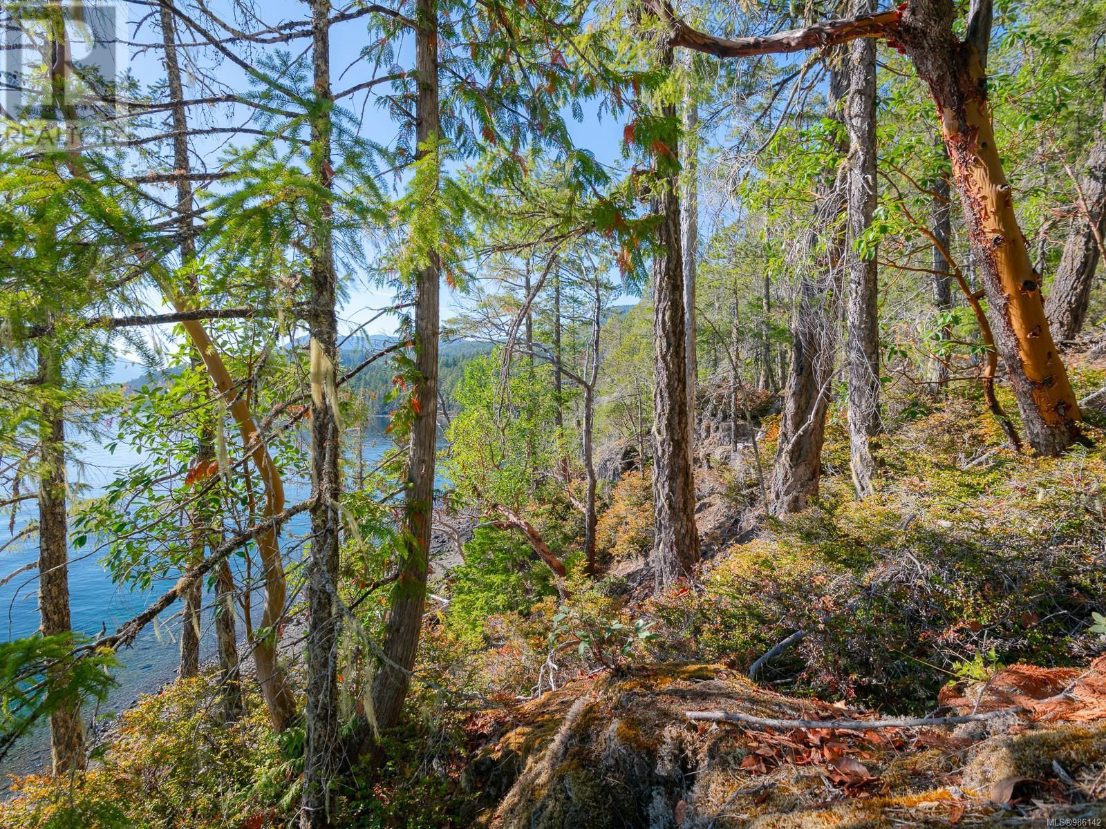 SL 2 11196 Taylor Arm Dr, Port Alberni real estate listing 986142