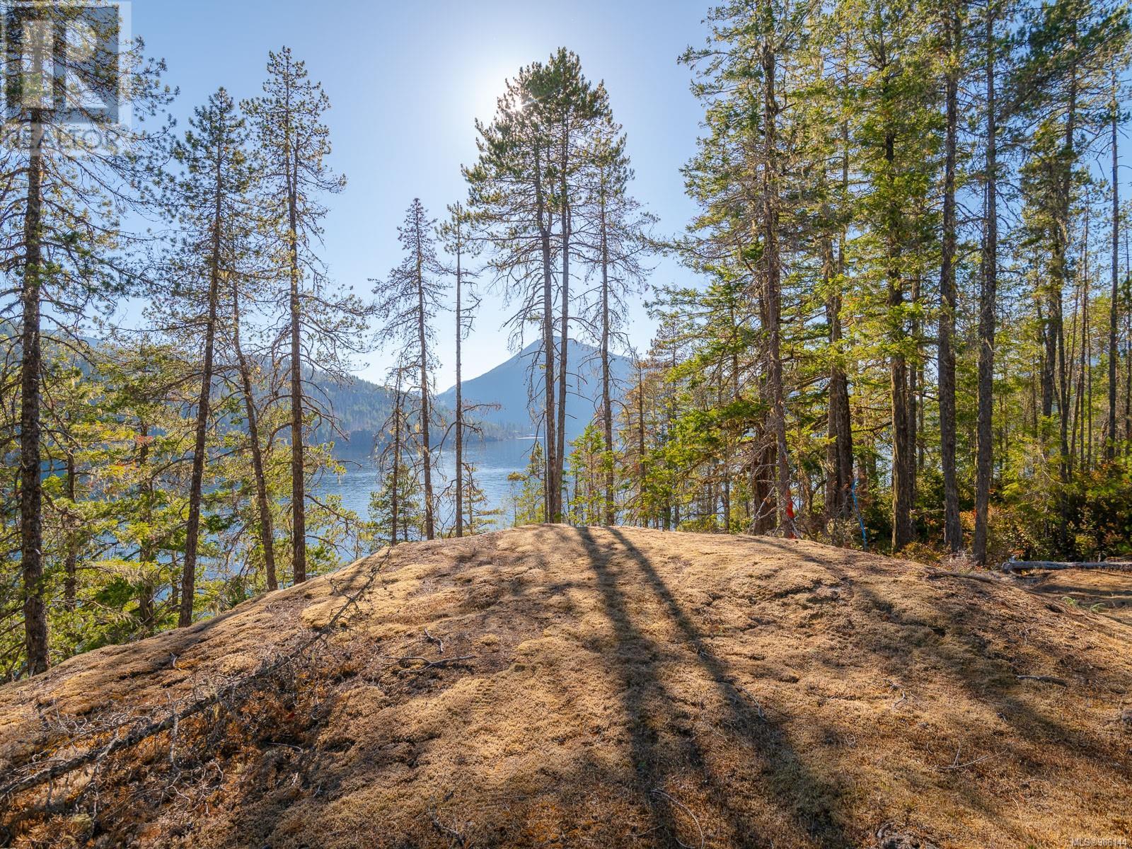 SL 3 11196 Taylor Arm Dr, Port Alberni real estate listing 986144