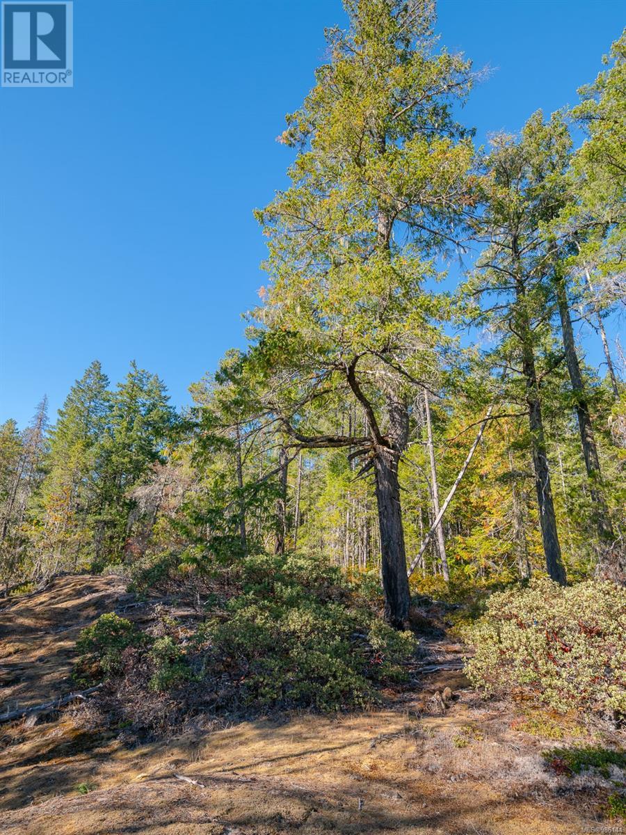 SL 3 11196 Taylor Arm Dr, Port Alberni real estate listing 986144