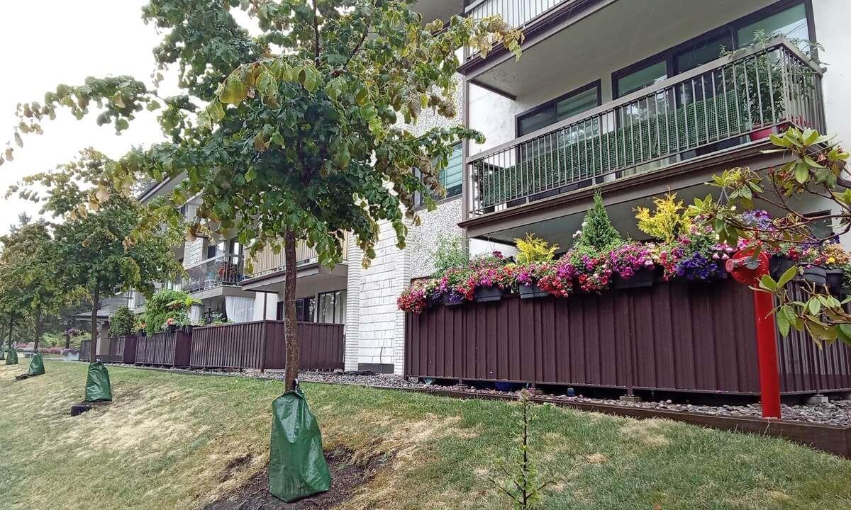 102 15020 NORTH BLUFF ROAD, White Rock real estate listing R2962464