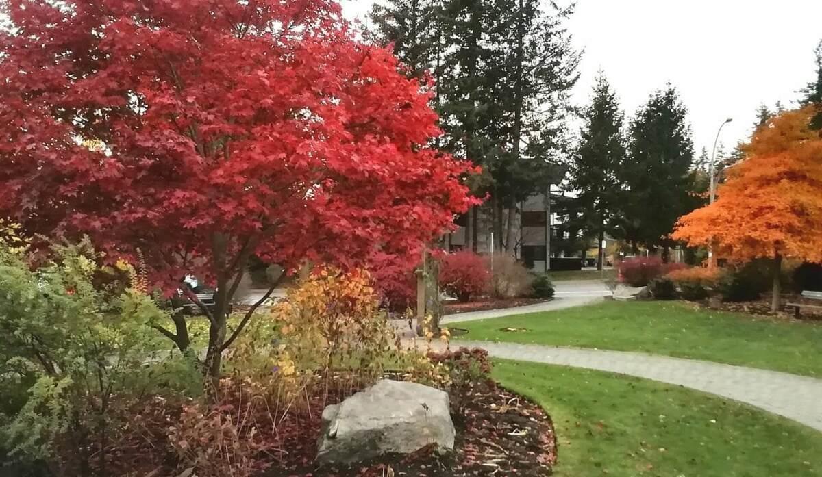 102 15020 NORTH BLUFF ROAD, White Rock real estate listing R2962464
