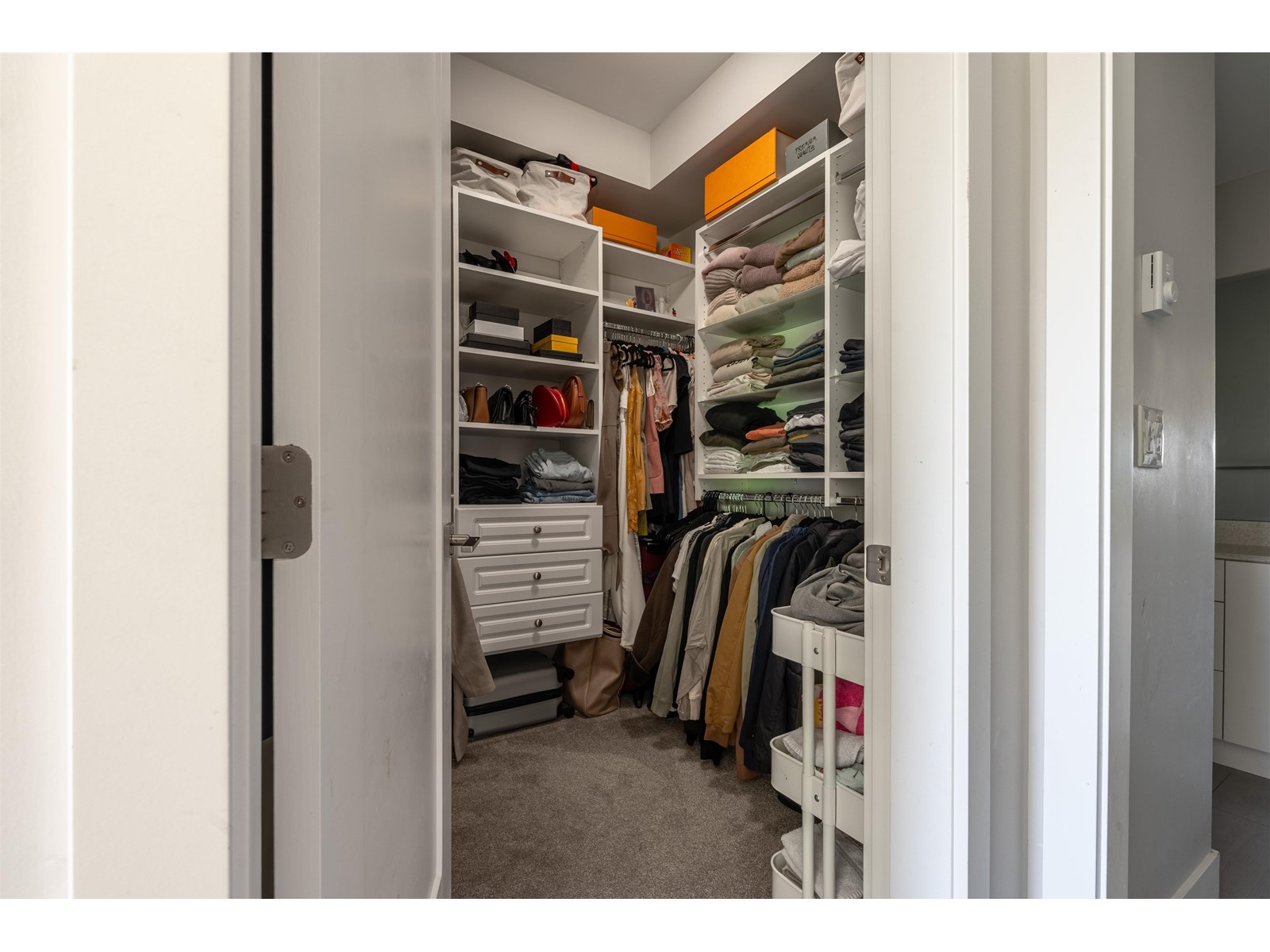 202 9015 120 STREET, Delta real estate listing R2962545