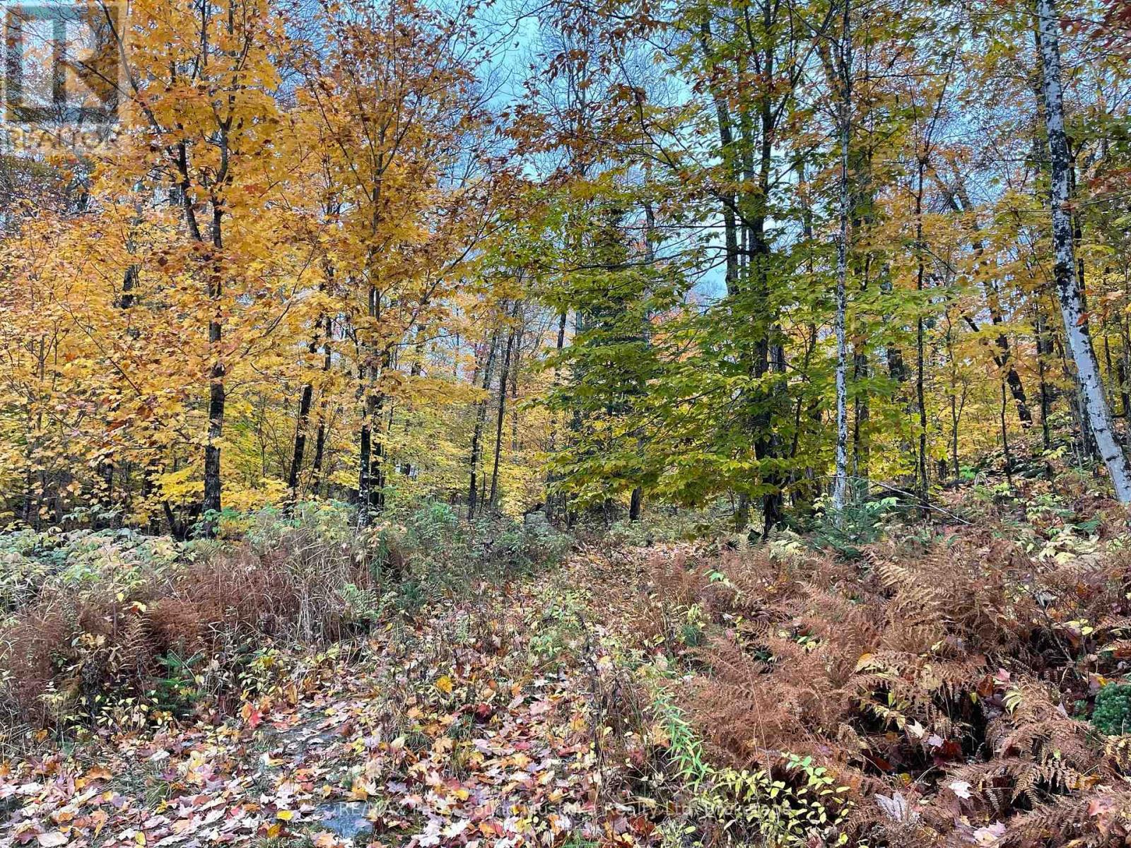 Photo 14 of 75 Granite Drive, Huntsville ON