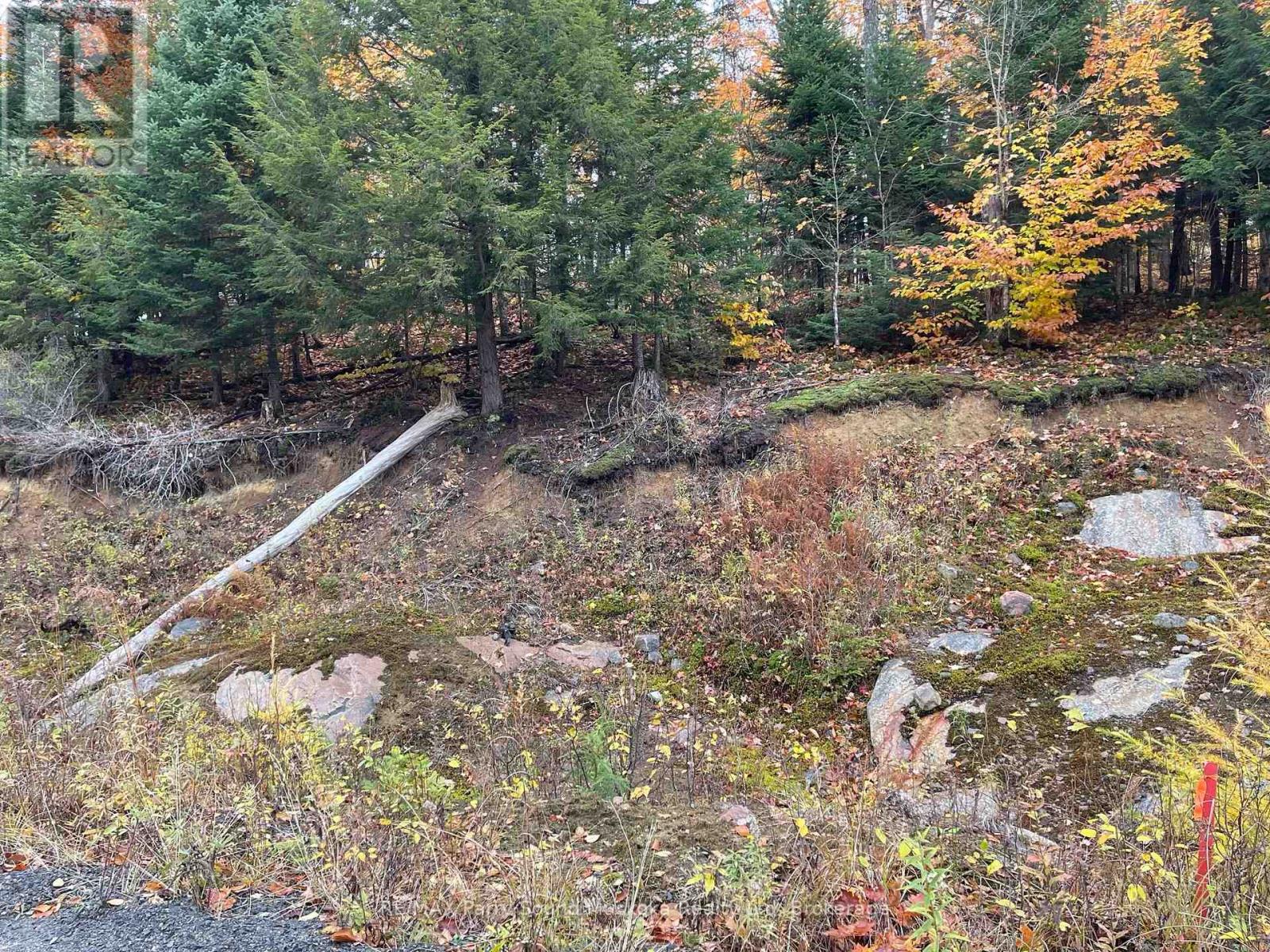 Photo 18 of 75 Granite Drive, Huntsville ON