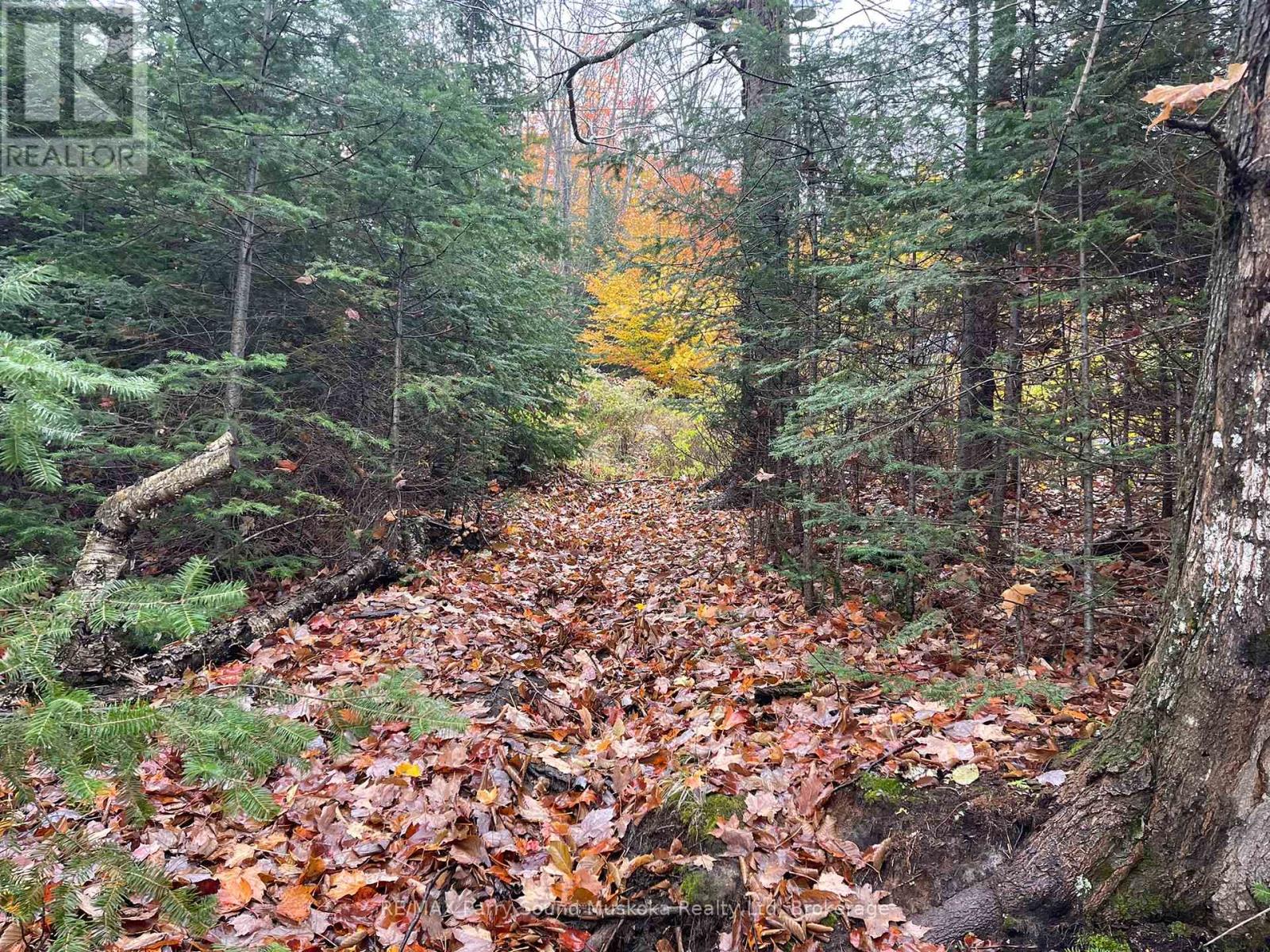 Photo 25 of 75 Granite Drive, Huntsville ON