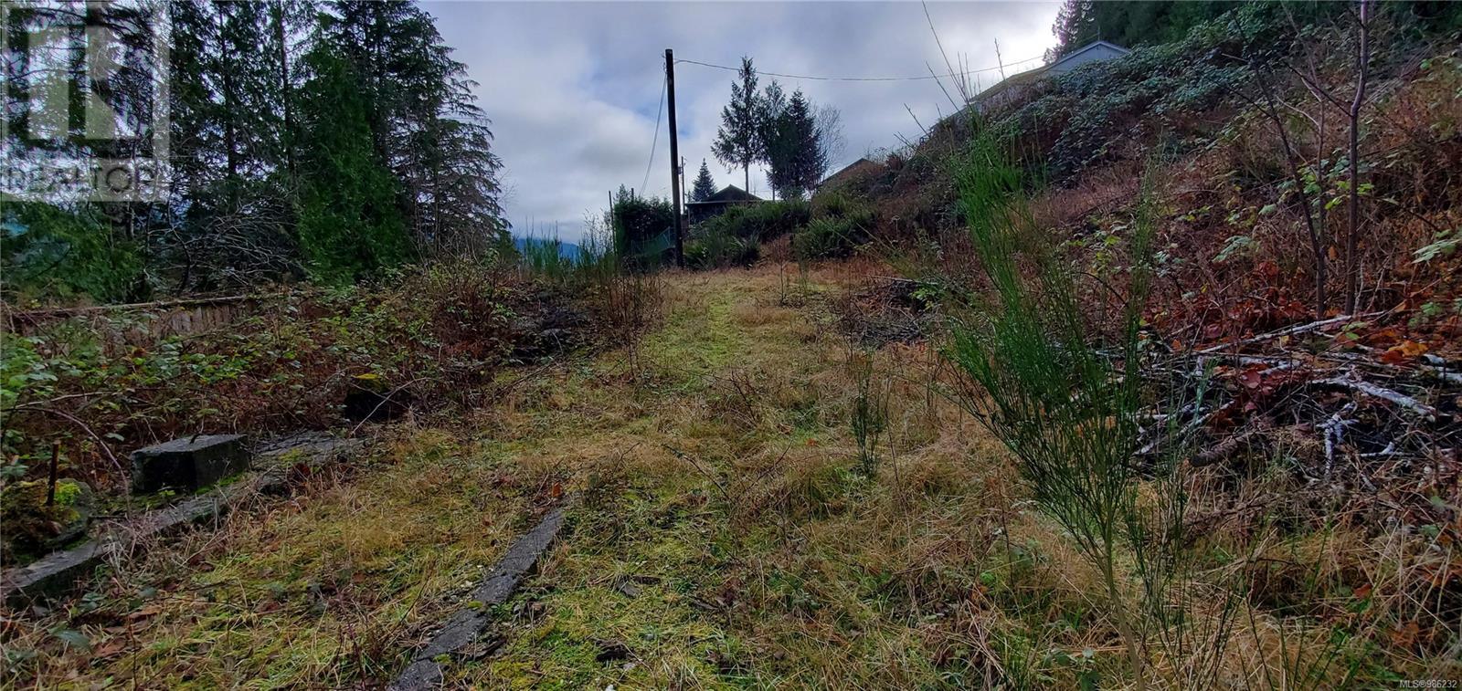456 Cardiac Climb Rd, Tahsis
