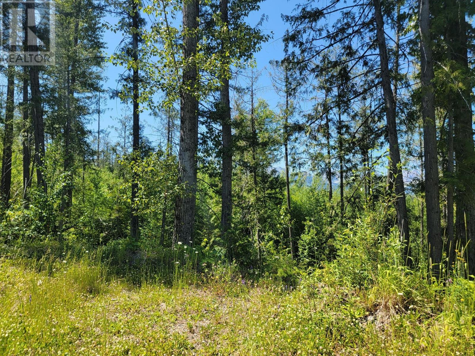 Lot 91 MONTANE PARKWAY Lot# Proposed, Fernie