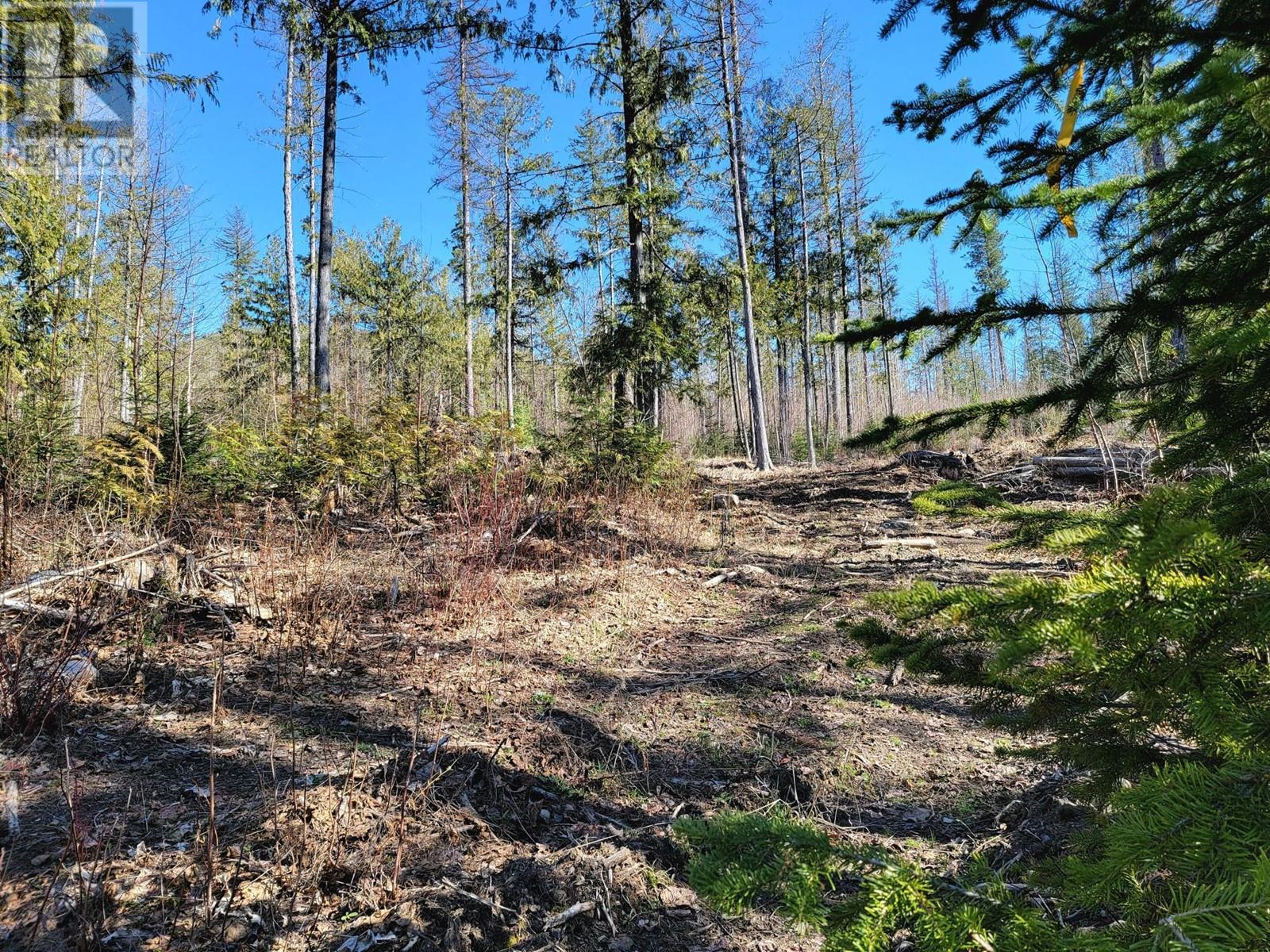 Lot 91 MONTANE PARKWAY Lot# Proposed, Fernie