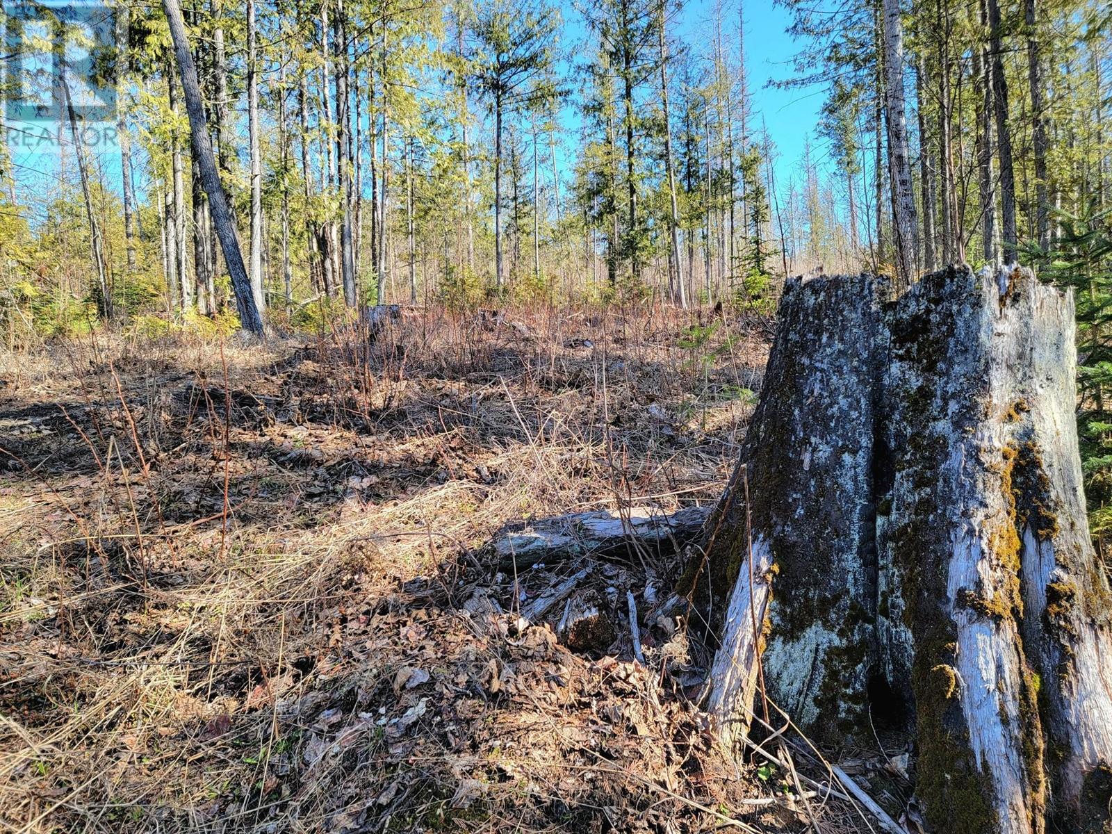 Lot 91 MONTANE PARKWAY Lot# Proposed, Fernie