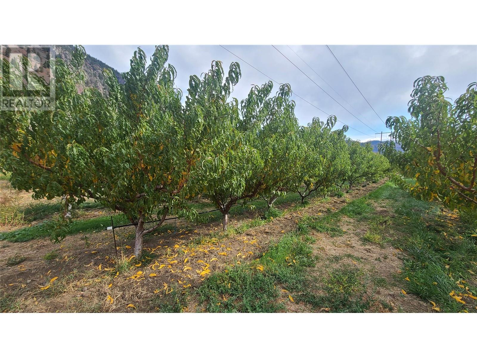  3105 HWY 3 Highway, Keremeos
